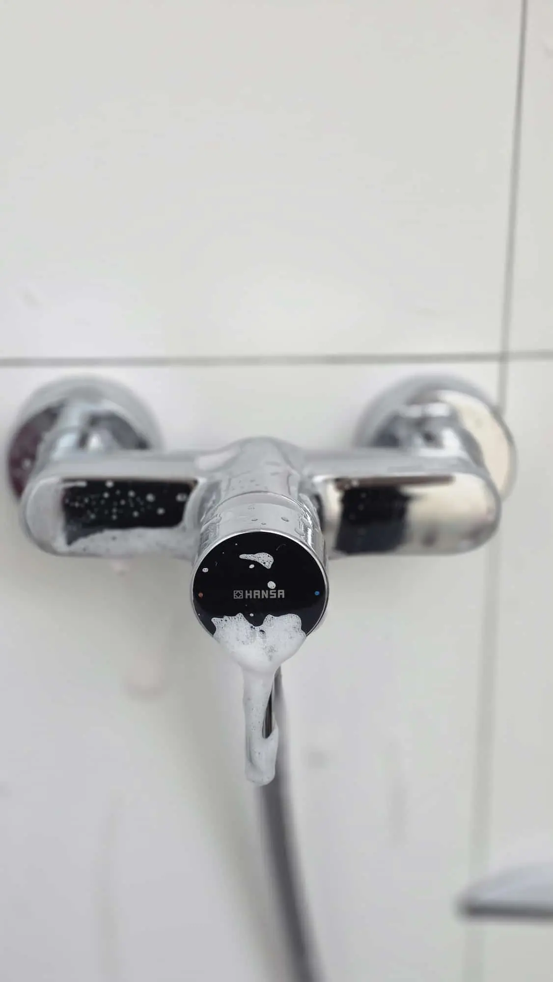 Vor der Reinigung